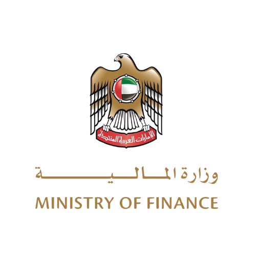 UAE Government Authority 2