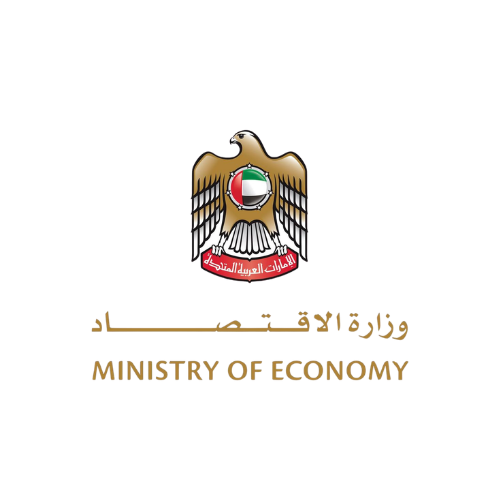 UAE Government Authority 3