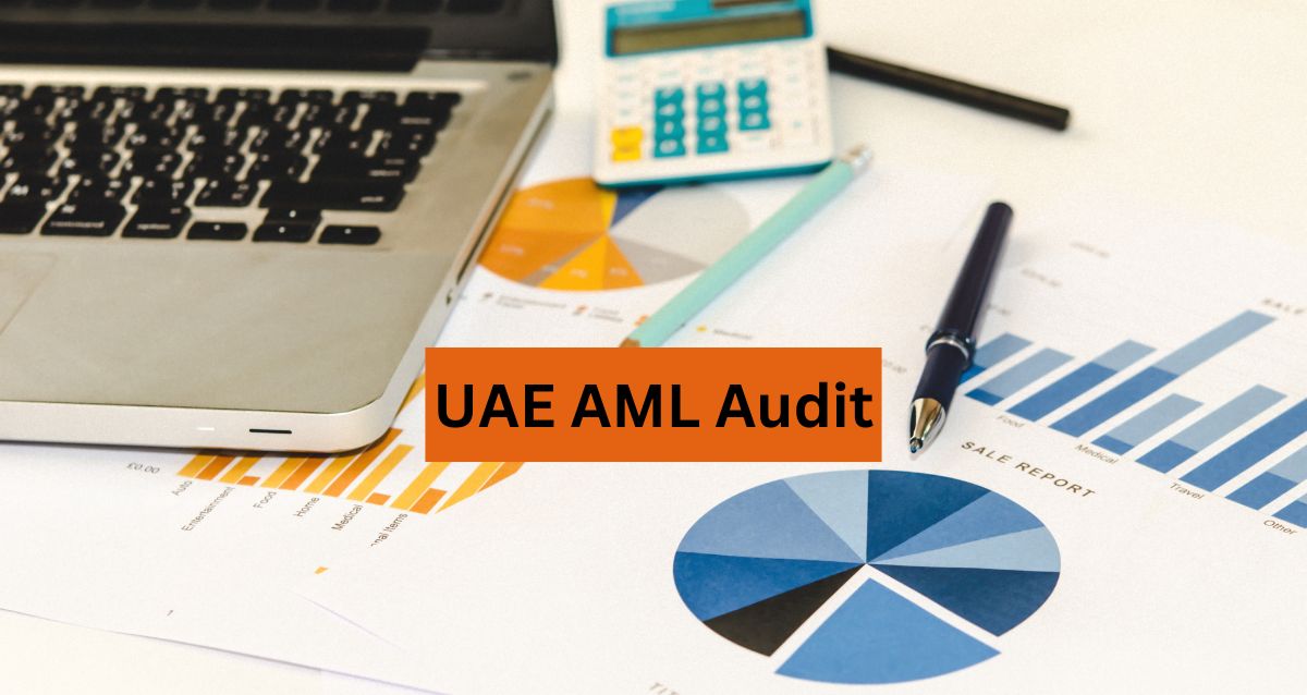 UAE AML Audit
